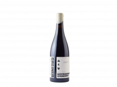 2024 Pinot Noir Rütti demeter zertifiziert - verfügbar ab November 2026